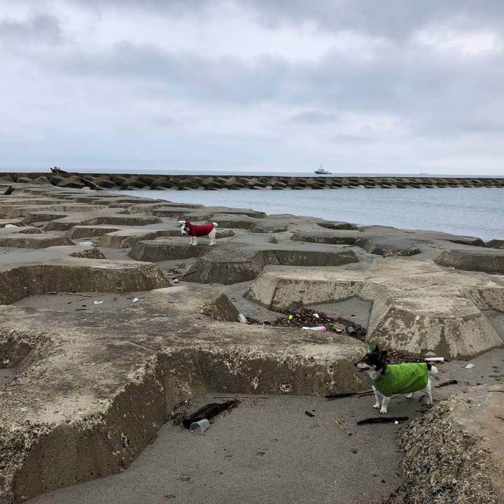 A191552f d35a 43c0 9846 4941acb8c381 1566345857575