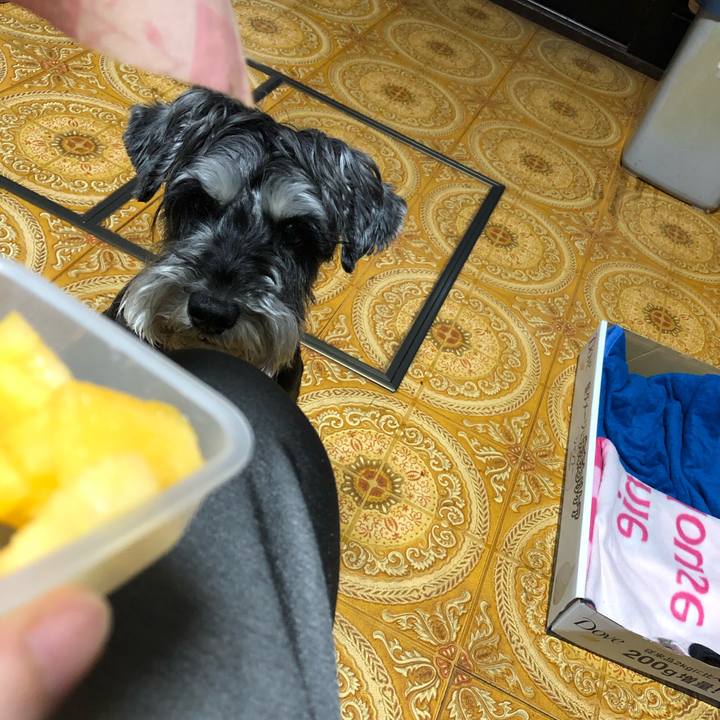 A1915dd7 ac27 4638 aa5c 6c240fea9562 1653918265074