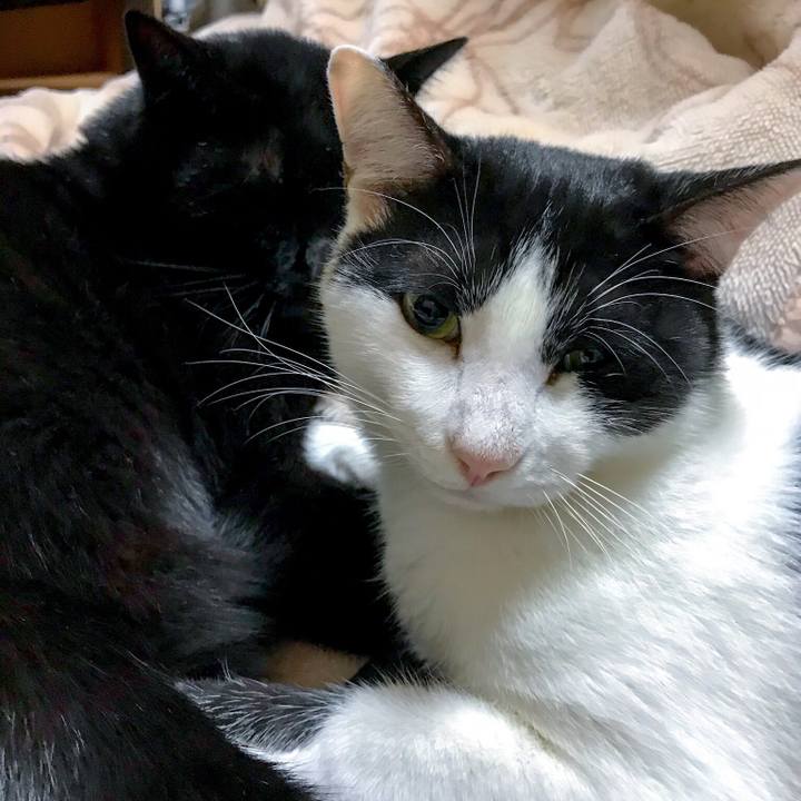 A191a1c9 a88d 4054 acba da566a917d60 1509506509981