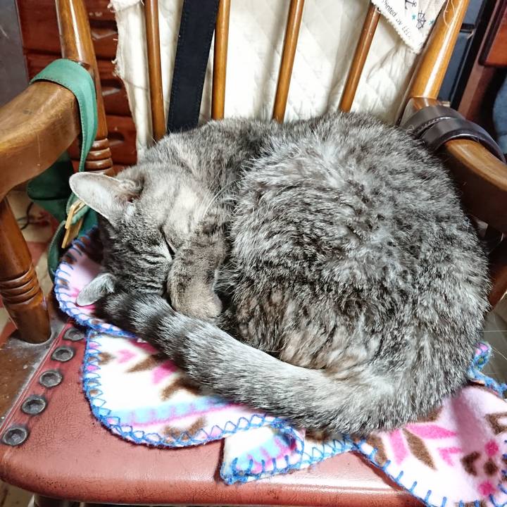 A191a2d0 ceb7 43d6 aac9 f529438701b0 1576381743293