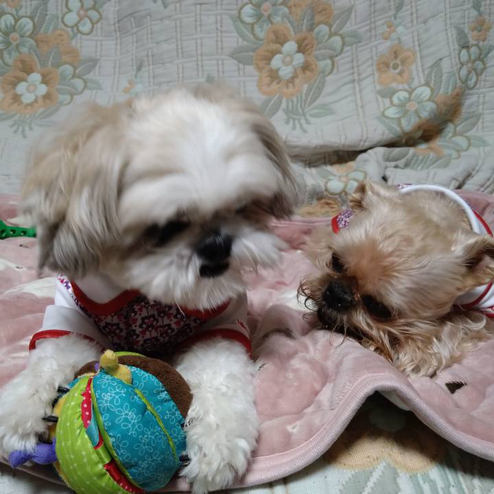 A191b5c5 9fd6 4fb7 8833 458a51eadc9c 1665754108653