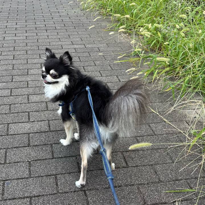 A191dec9 d883 4721 a0ef 746f193c3c98 1758644568977