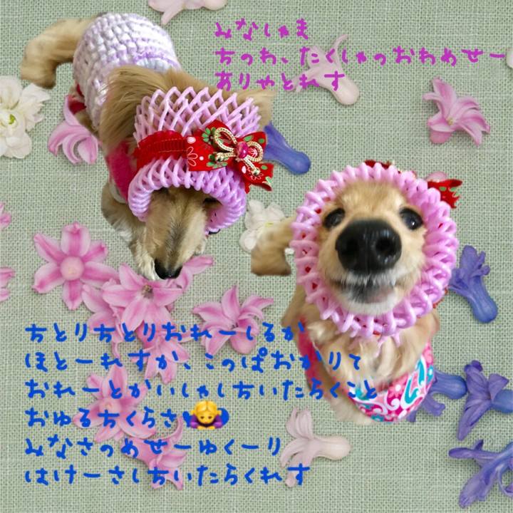 A192202a b2f5 44cb b957 1dce0912f919 1518740281465