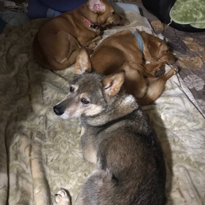 A1923c29 bf8e 4dd7 8538 7d0c33fe02fd 1525796851346