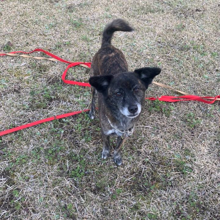 A1924b46 cc79 4b43 8b05 ff5ea701b1c2 1583896852211