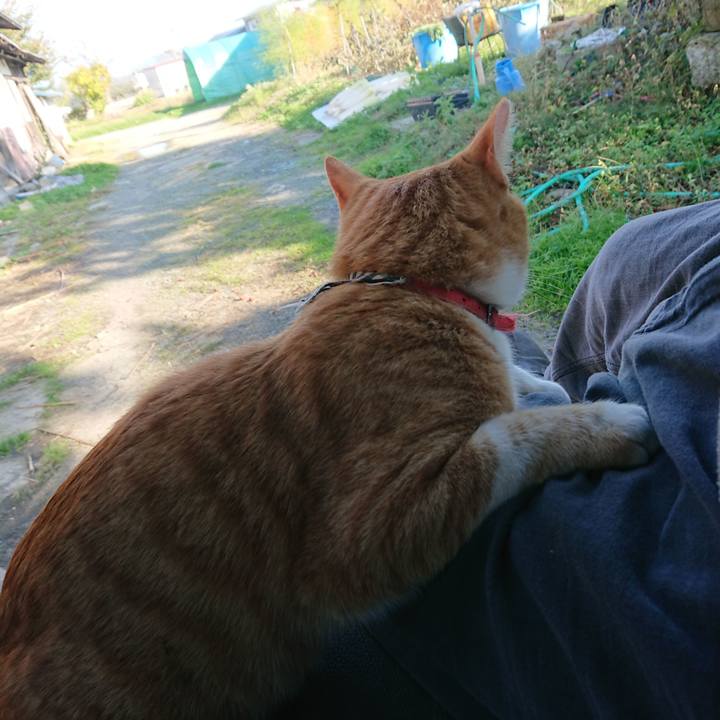 A19263ea 15b0 48db a073 57e51f036d94 1573366542410