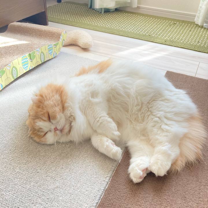 A1927d26 ed33 40a9 8717 def817c8696b 1606633564291