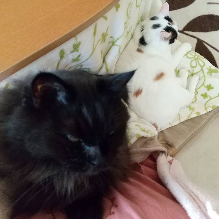 A1929df6 4f40 4951 afd9 73740e231aab 1604875351622