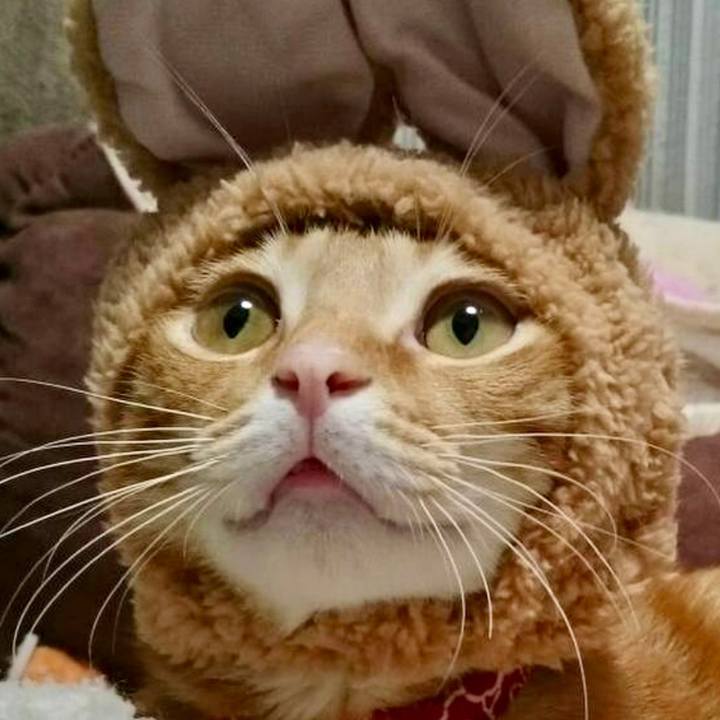 A192d4b1 d119 4cde a2f4 edd161b37003 1662775157568