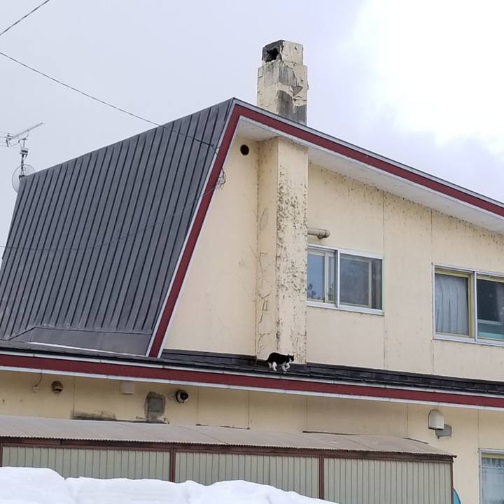 A1931bdb 9187 4dbf b684 5d56137867e4 1616373104313