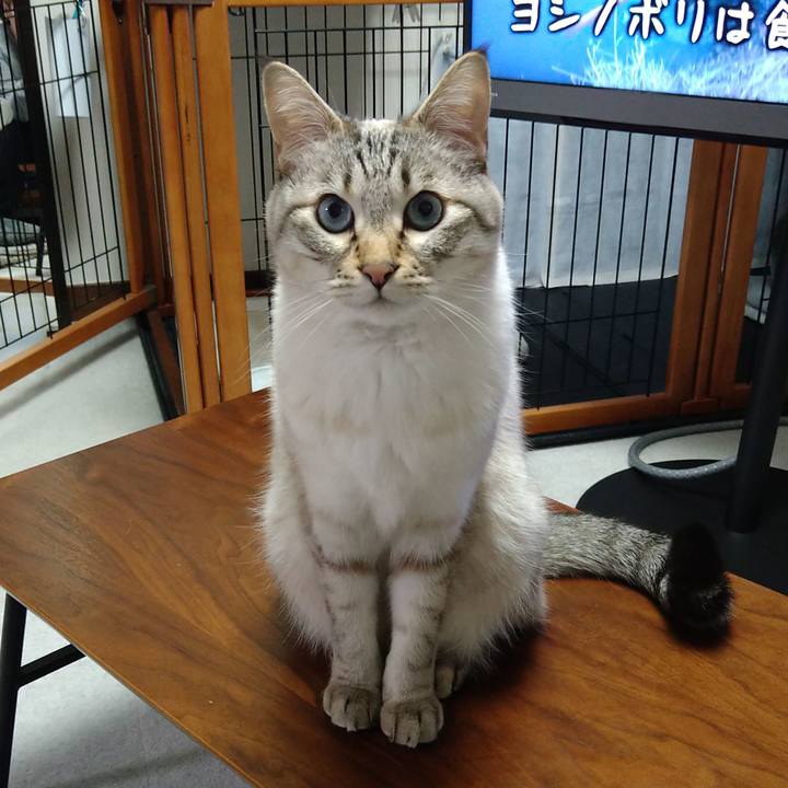 A1932c5d 31fe 4546 be9d 3a81f5ab9e31 1615459165931