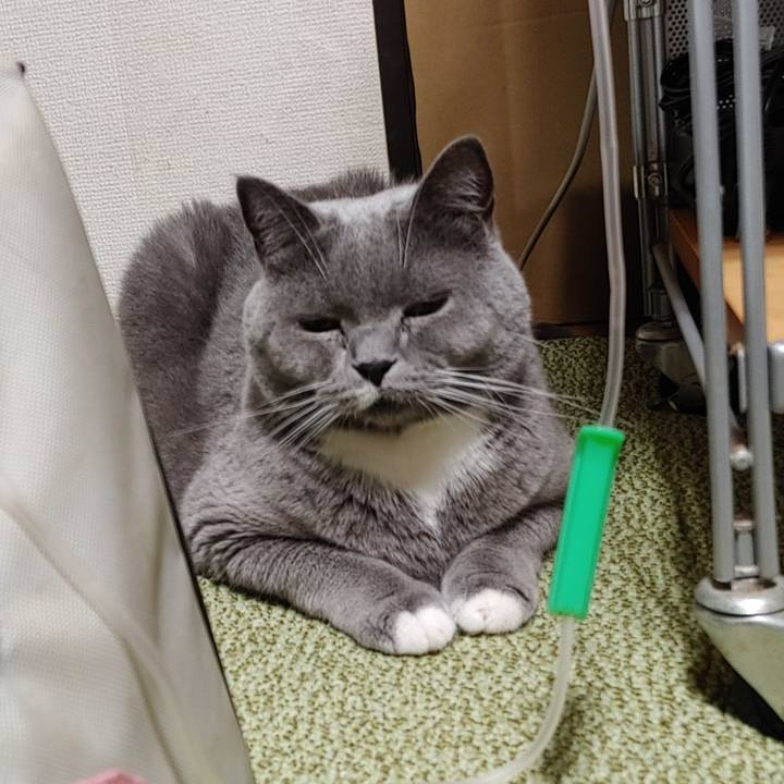 A1937666 8e1f 484a ba6b 9367756c980d 1629804137951