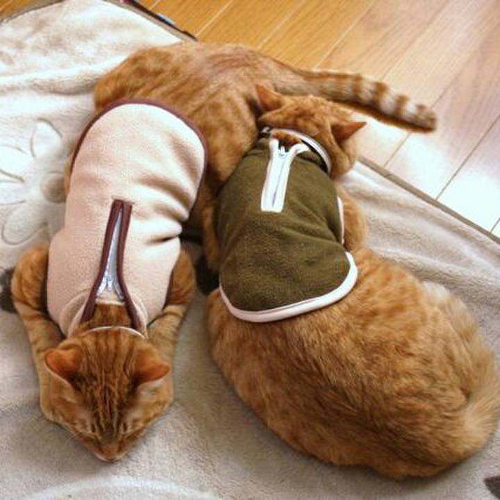 A193c45a d122 49c6 a6bf 82faa6849a01 1509896709248