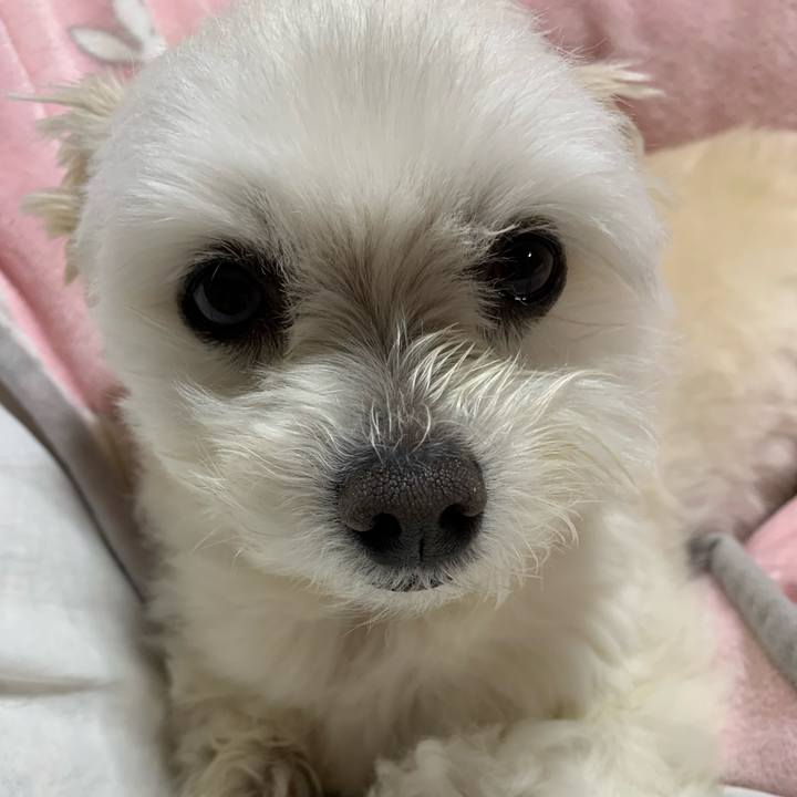 A194272f 043e 48fc b57e 22fd359e973a 1647341642281