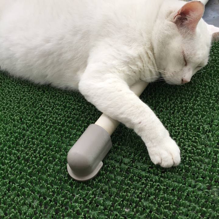 A19443b4 3334 47bf aadd 2171e1865573 1536533473181