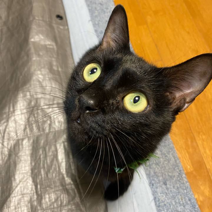 A194e496 9961 4aff 8991 217aad6b62c1 1665316722031