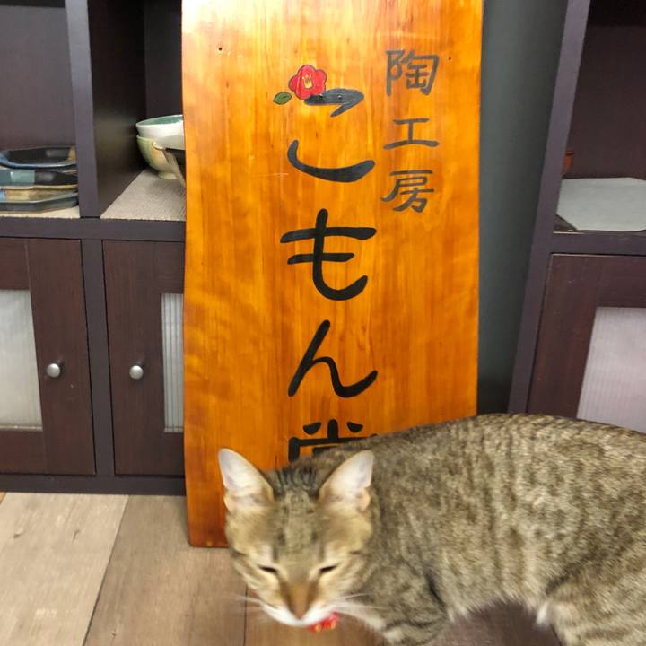 A194e67b ddb4 4036 b544 78d7b98242d0 1615200533884