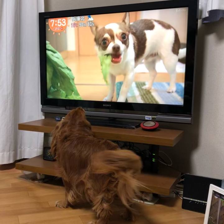 A194ffa0 13c7 48ef bbb5 094576cb2d55 1619650765964