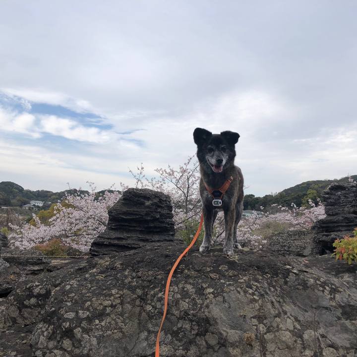 A1951ade 3559 4619 8e86 81cfa47c2de2 1681045435440