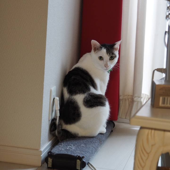 A1951d1e 6a11 4a6b b3a6 4803f2c676ce 1561901870248