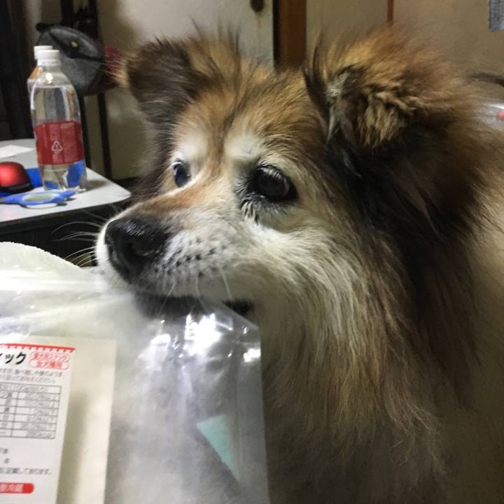 A1951e7c d311 4b6a a3af ad46a2e5c60b 1581928562770