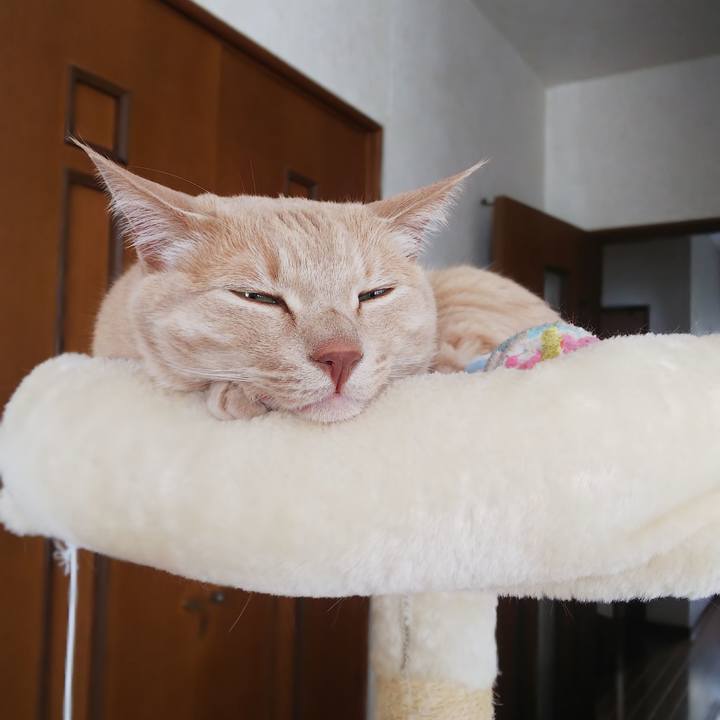 A1954cba 6323 4001 b8d1 720da2b73ceb 1647838060453