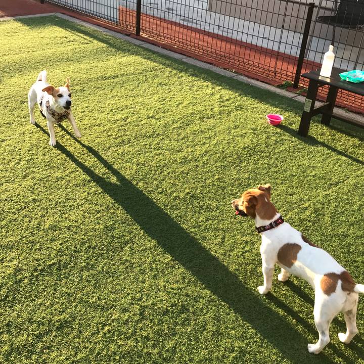 A19577e6 0861 4edb afd7 4415ccc24375 1605608247471