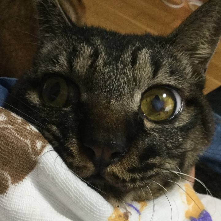 A195878b e292 4e6d bd88 a6a7e098f827 1600324404193