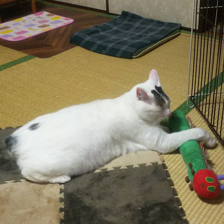 A195b004 7b94 479d 9e44 dffbc8590b9c 1551022659626