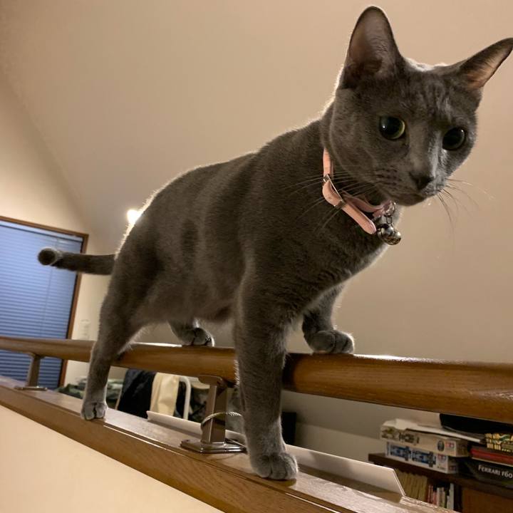 A195b860 bc60 49e7 85a2 5e6415f00281 1573308305249