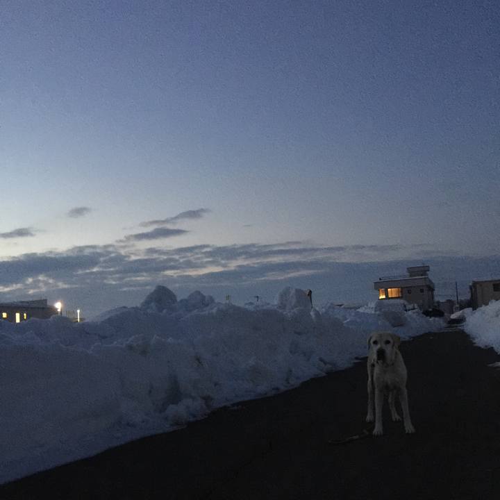 A195cba1 519d 4eea 9d48 c04b0ac1f88f 1517522117770