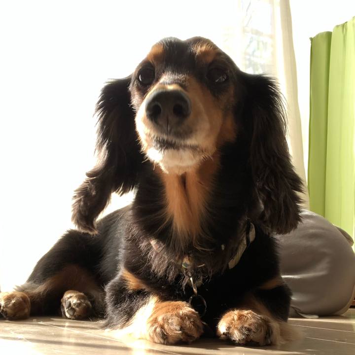 A195d26f 0eb9 49ec ba5e 3464aaa1c877 1549101295614