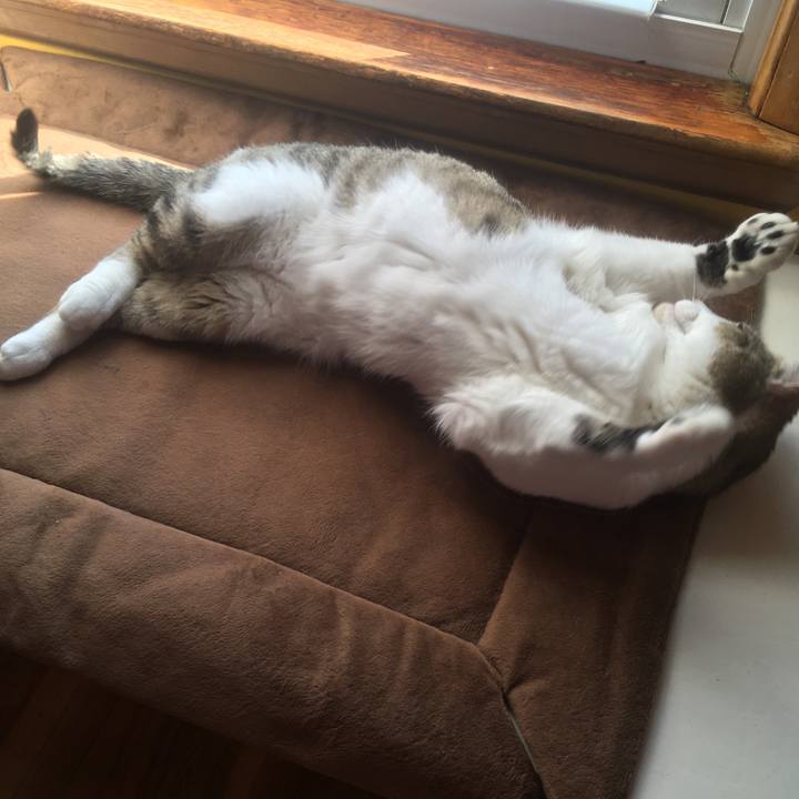 A19605e2 4f42 4a34 8a04 617769fd3b09 1633395388517