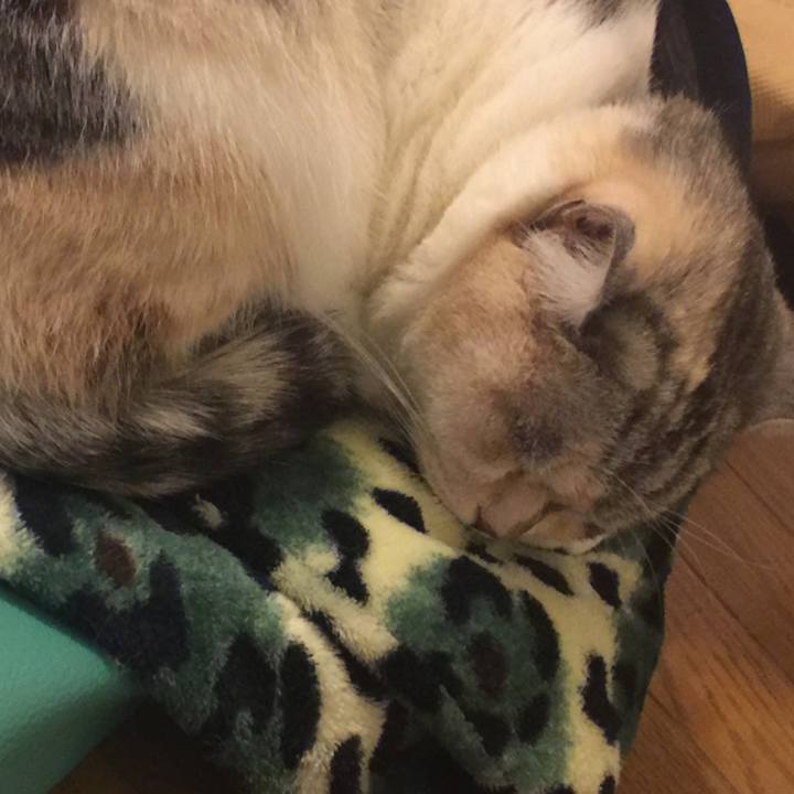 A1966cd0 ef9a 487a 90b1 f60a10fca42a 1547556718462