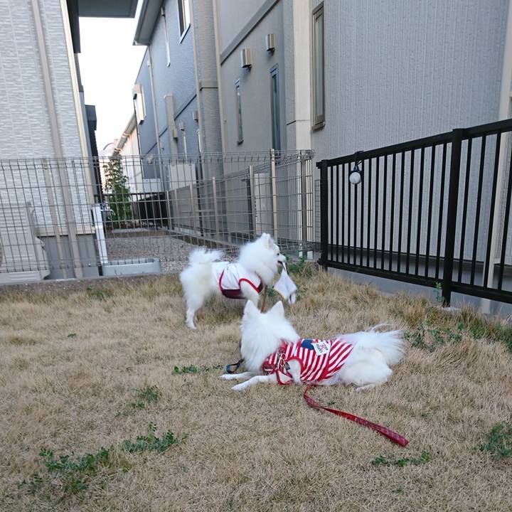 A1967d9b 868c 4900 ad60 8981ffde130d 1554800712703