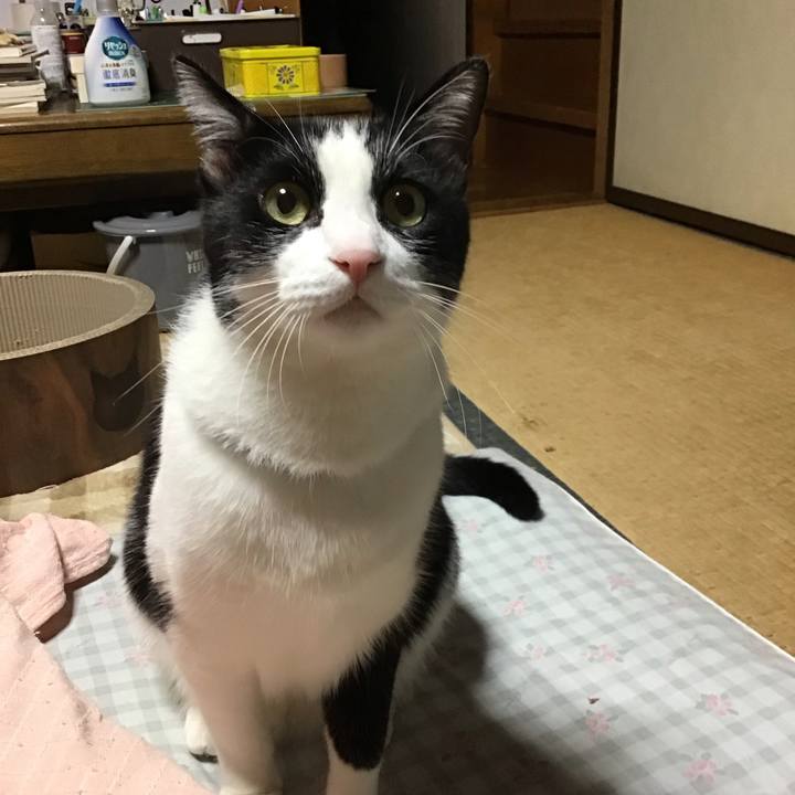 A196d7d5 a2e9 4b25 94ee dd918493bf8b 1697712936961