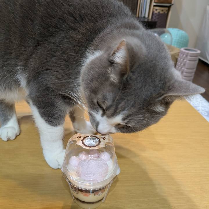 A197058d 79db 4fdd b6c6 704ee9f8e504 1740139653402