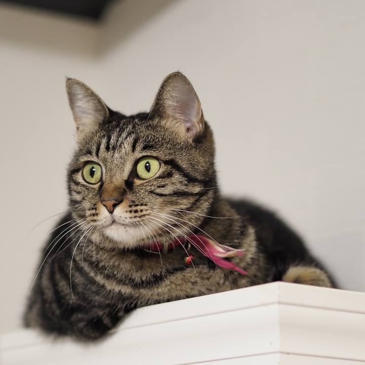 A1974867 18a4 4bc3 b937 c8e87451b391 1631538904015