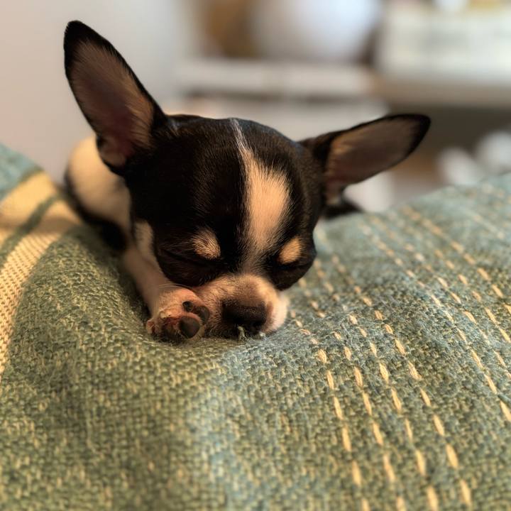 A1975efc cffb 4f1c 8534 1f1066a1e995 1763288272565