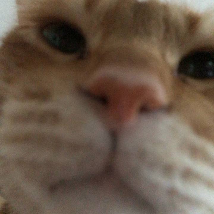 A19767c1 5abf 410b b8e6 efb027ea5e46 1607724602594