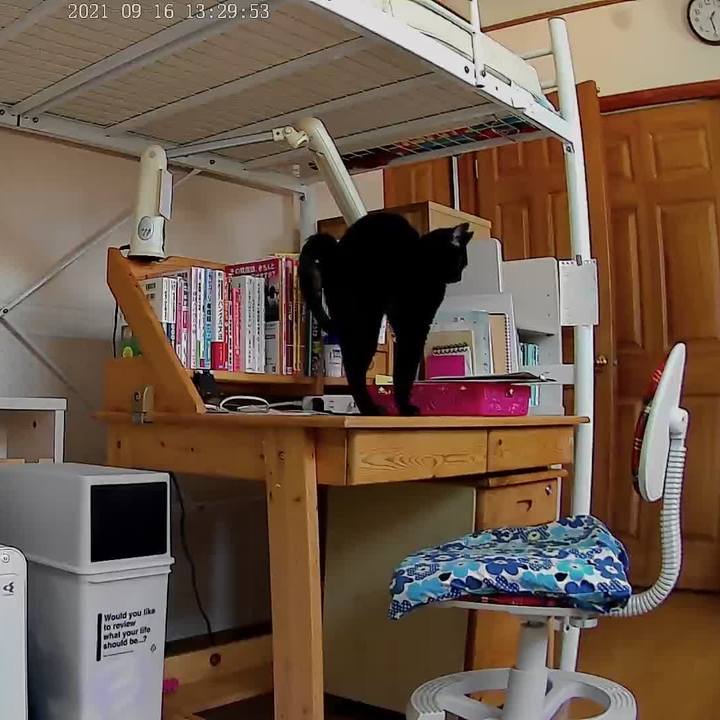 A1979b8f 473c 4f5c aeb1 9f1036d91fd0 1631766638752