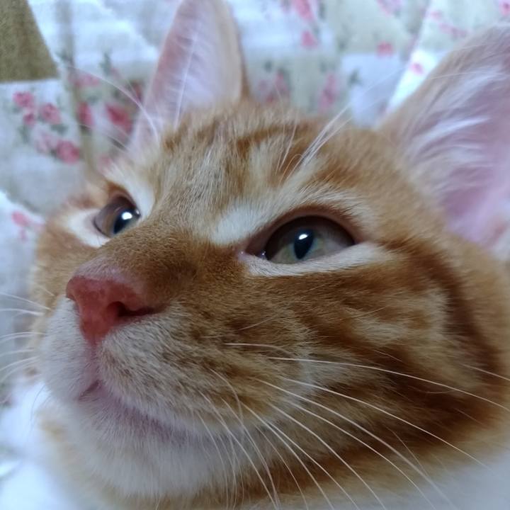 A197b9fd 3fae 4103 aa98 4631d04543fe 1582336680241