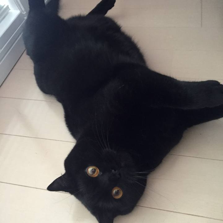 A197bab2 0161 4fb6 bbf4 9ccc7596a3fa 1527376406065