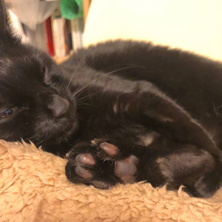 A197c9cc 031e 473f ac75 9205ef0b4055 1575032838184