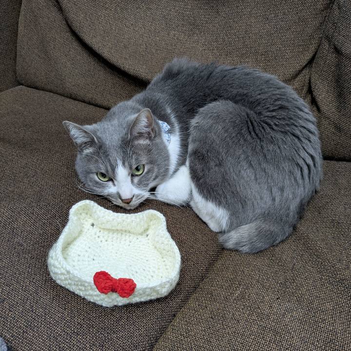 A197d6a4 6db8 425b 8c84 fae22eddc5a0 1768962743792