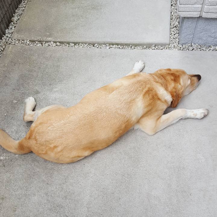 A197daf2 a79c 4cf8 848b 28406b525a61 1526614686839