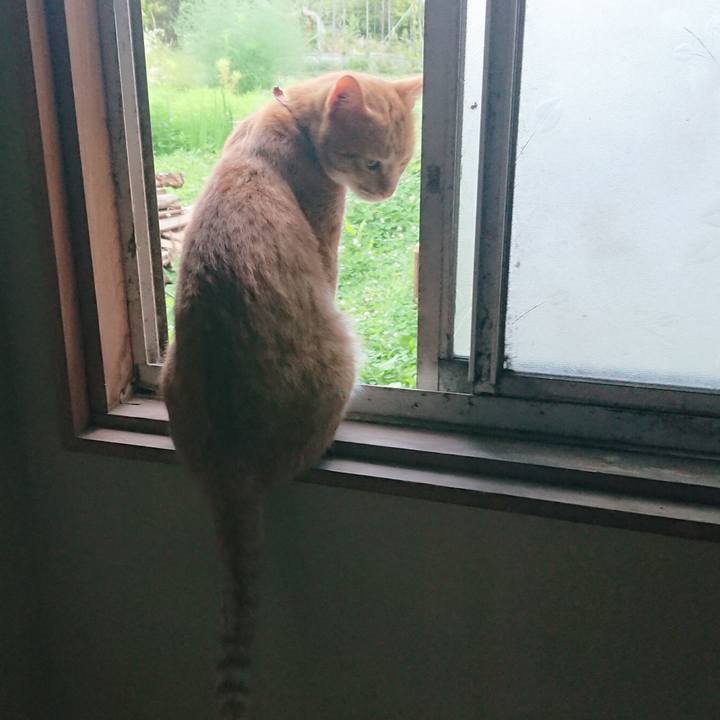 A197f28a 4967 40bb a814 bffa0e512fcb 1564208288278