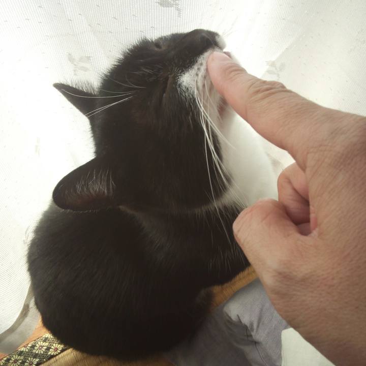 A197fd8d 3994 49e9 86fd 14ba3b8723fa 1528167529221