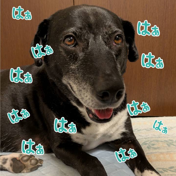 A1981b87 2753 46cf 822c 9bbae5ce12b2 1750171546710