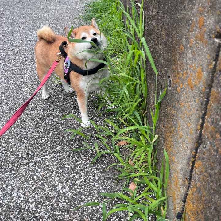 A1984a57 b847 4ddf 846c 87b92aa72b1e 1689295370136